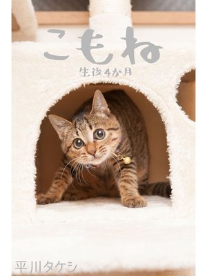 cover image of こもね～生後4か月～
